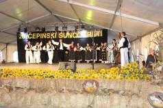 Mini IMG 0176